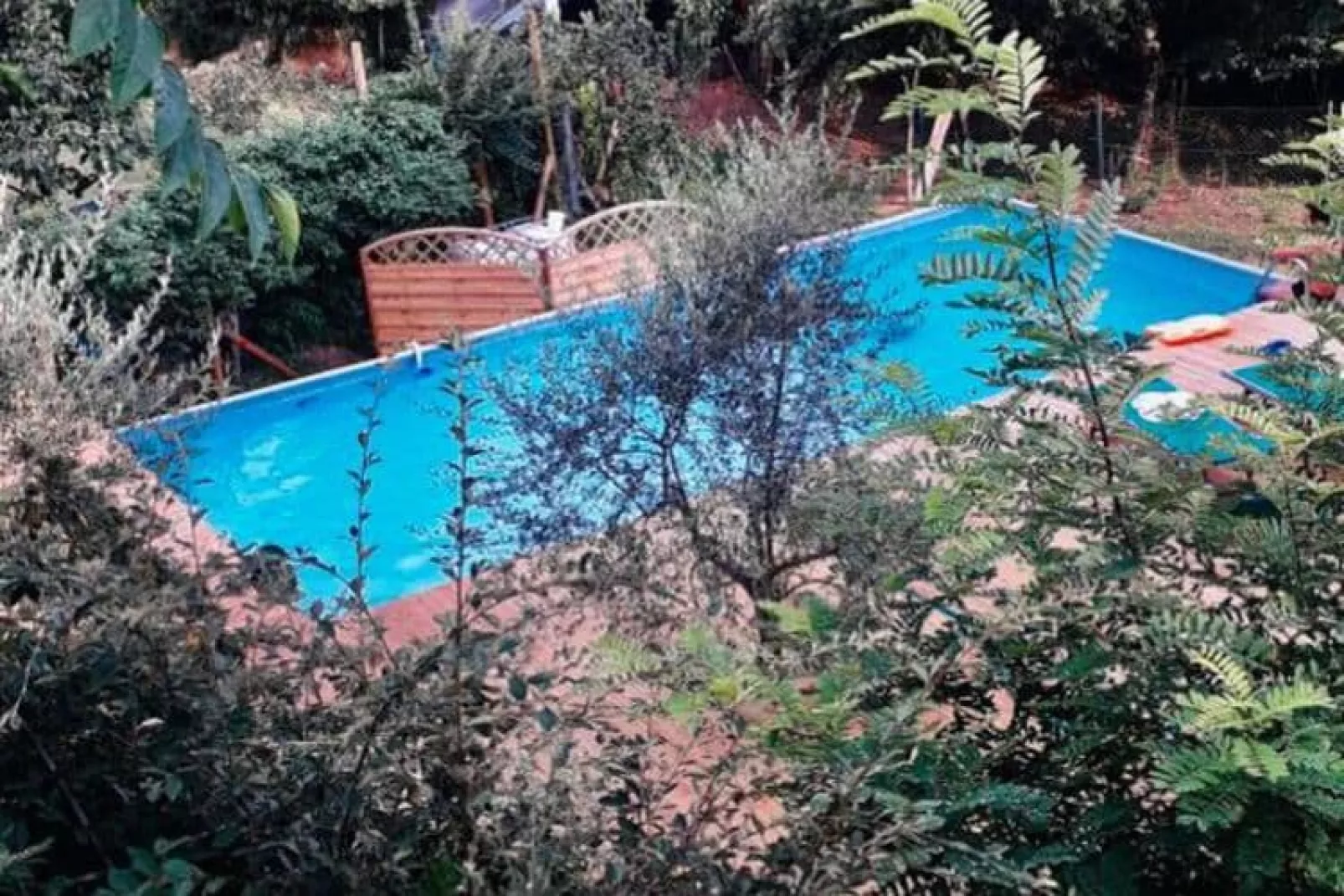 La Traviata-Pool