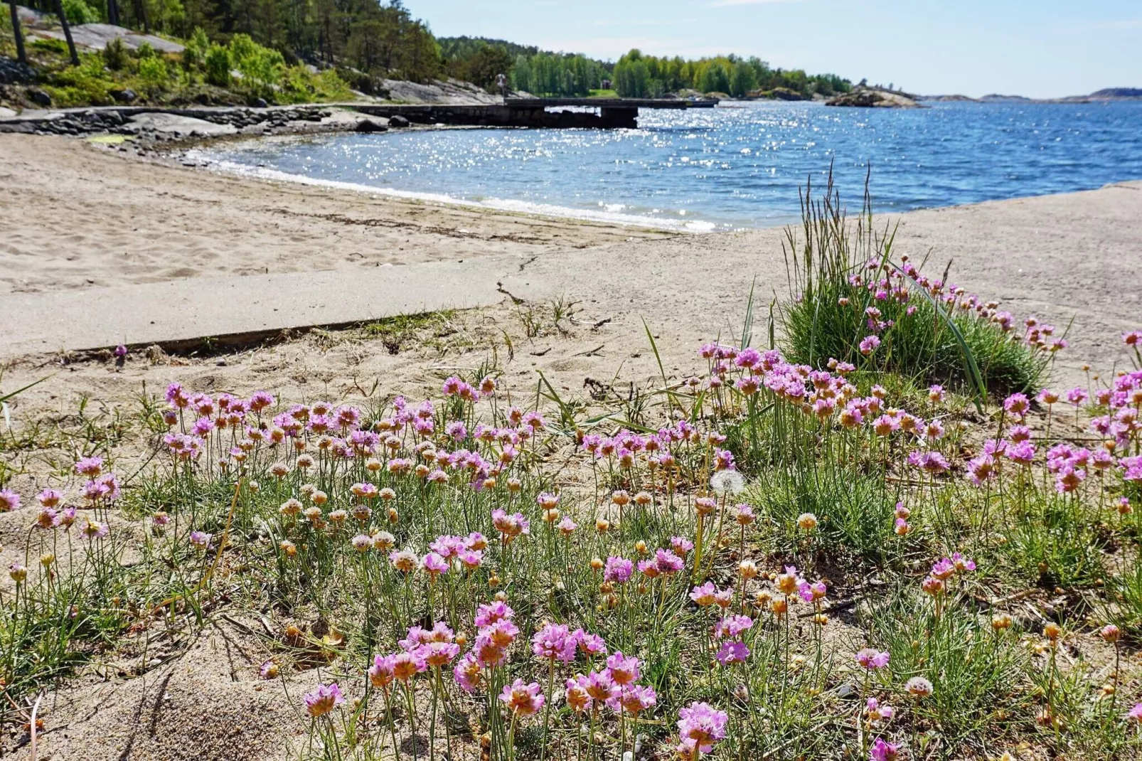 6 person holiday home in STRÖMSTAD-View