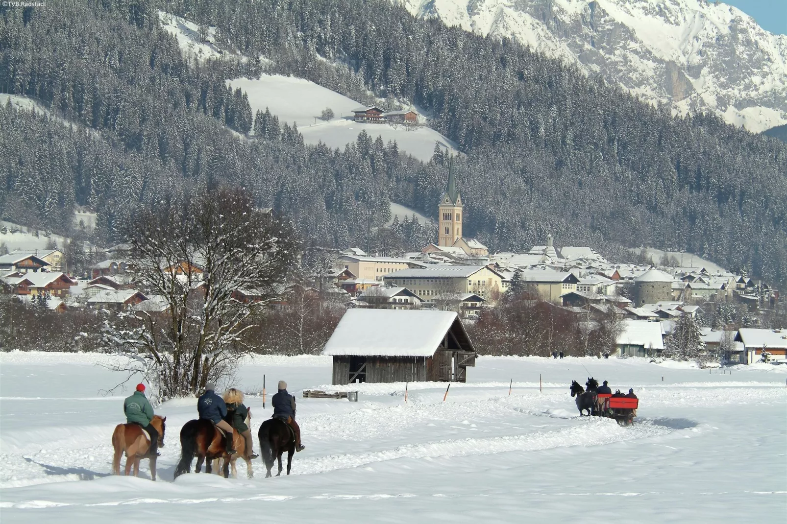 Appartement Geisstein-Area winter 5km