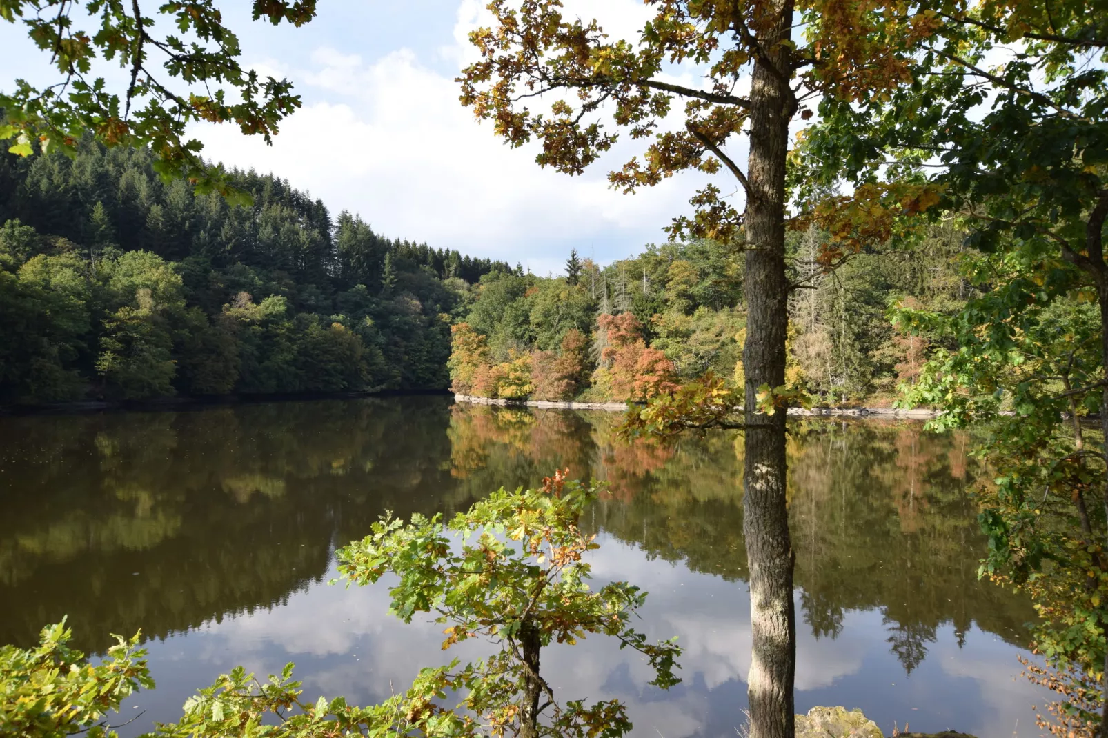 Ardenne Vintage-Areas summer 20km
