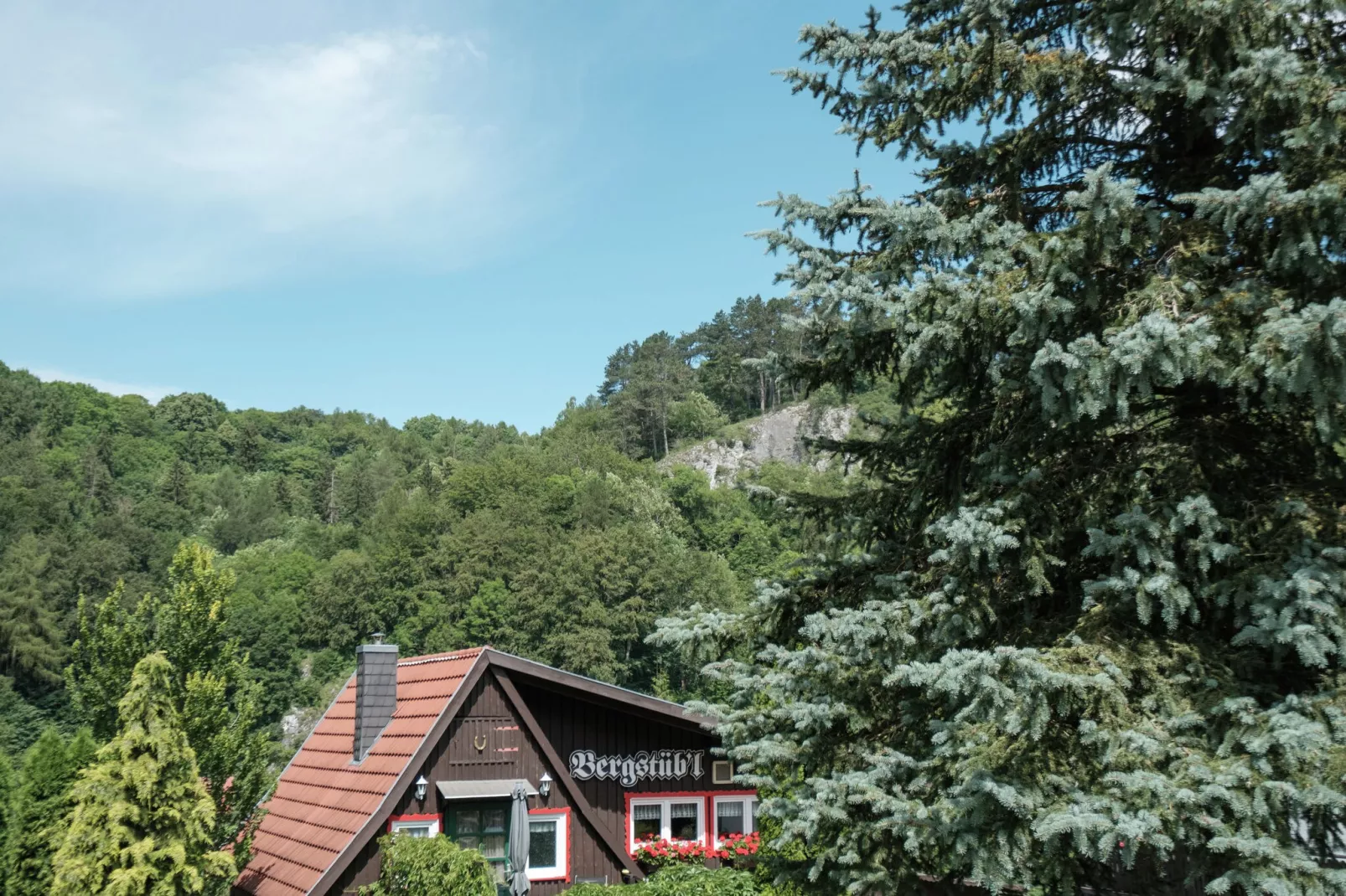 Bergfeld-View summer