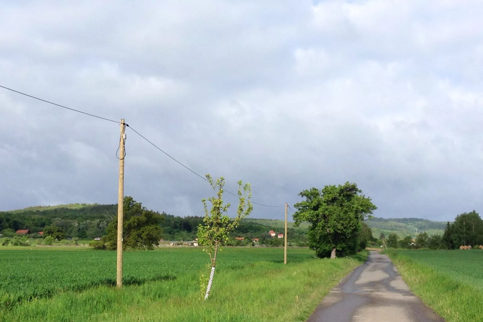 Wienrode-Areas summer 1km