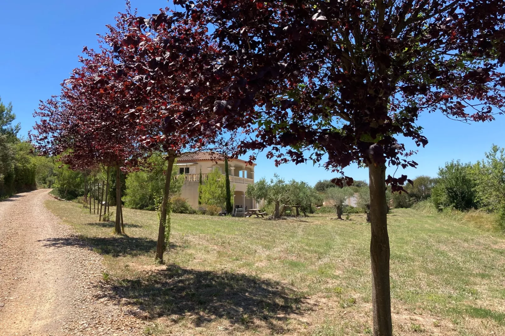 Chateau Henry-Gebiete Sommer 1 km