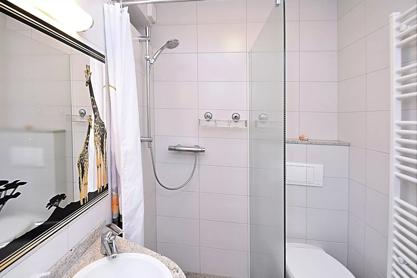 Doro-Bathroom
