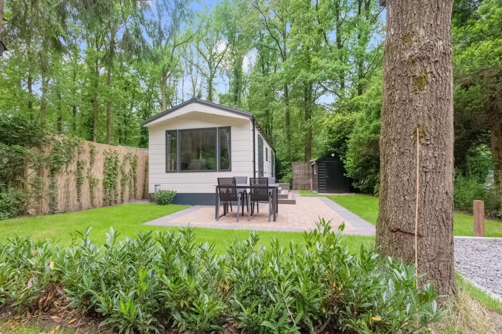 Chalet in Vledder-Exterior summer