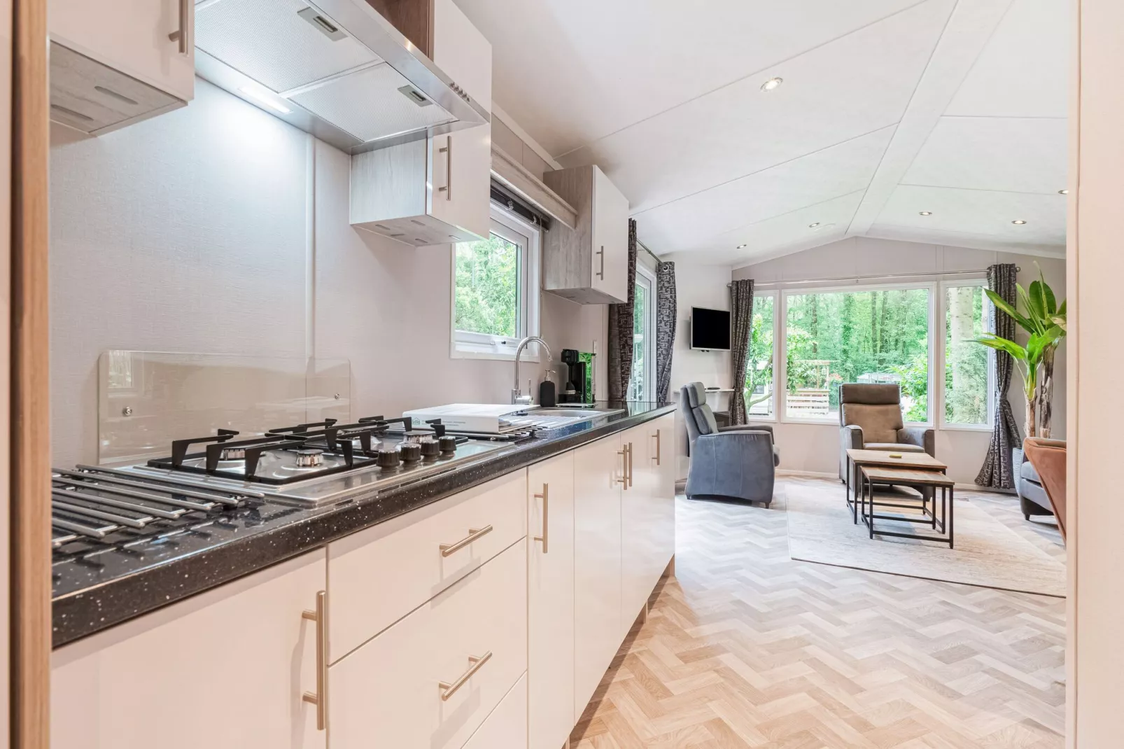 Chalet in Vledder-Kitchen