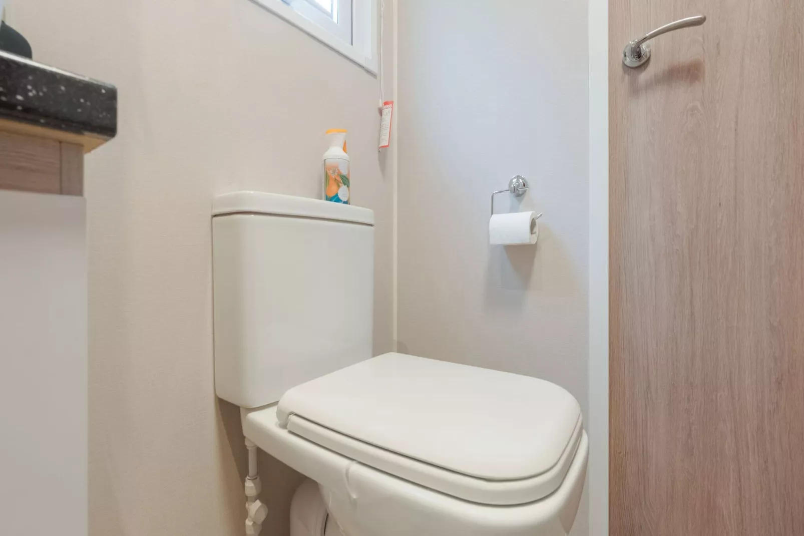 Chalet in Vledder-Bathroom