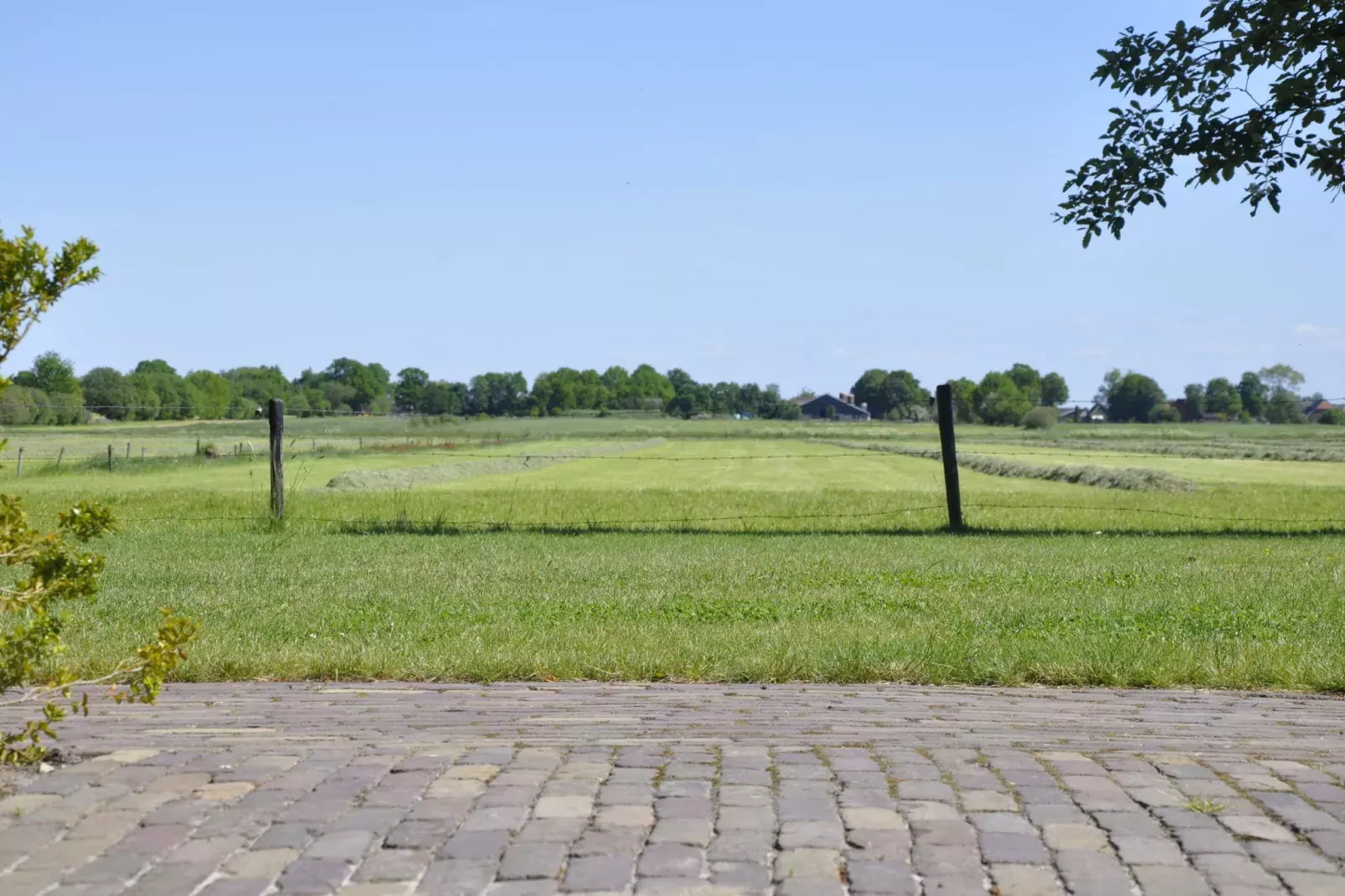 Landhuis de Linde-View summer