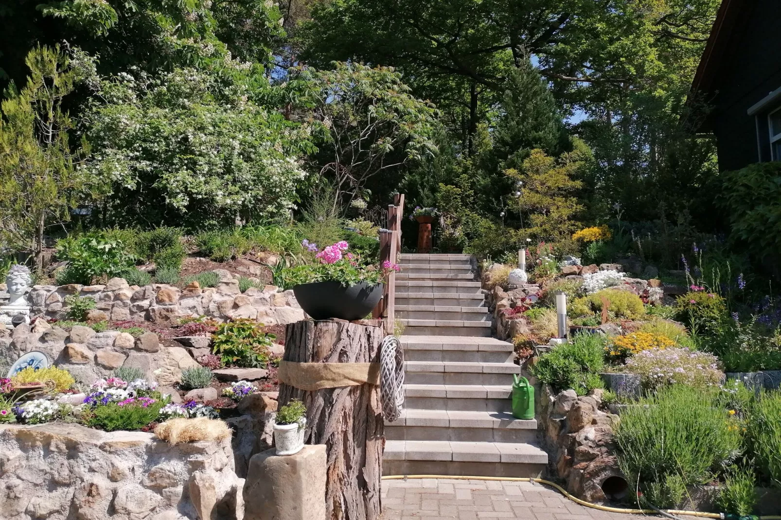 Blankenburg-Gardens summer