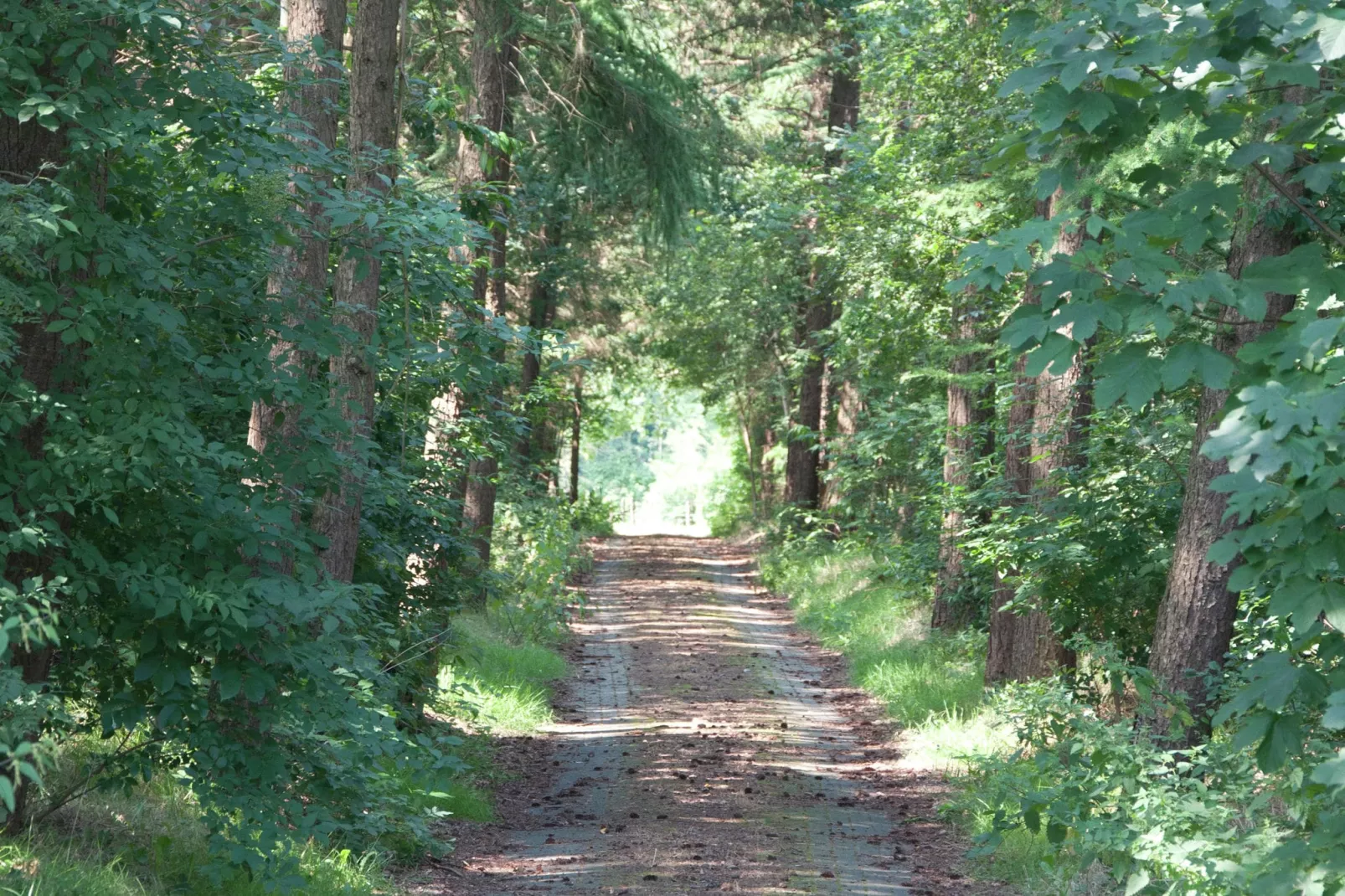 Landhuis de Linde-Areas summer 1km