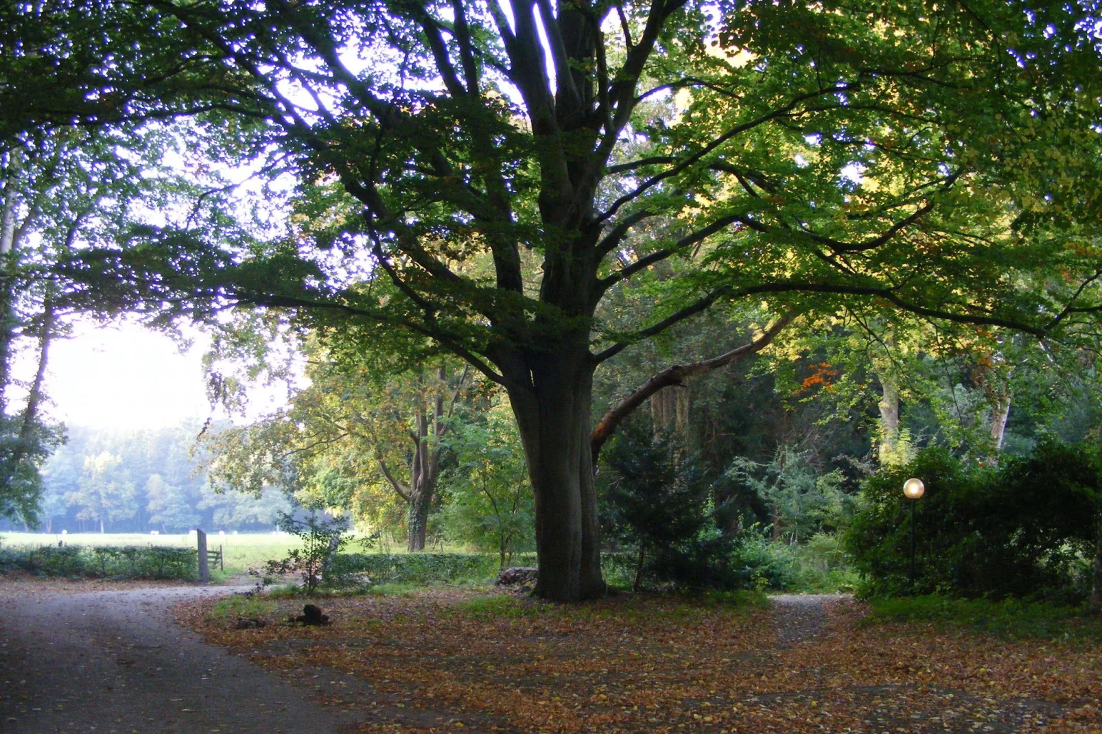 Landhuis de Linde-Areas summer 5km
