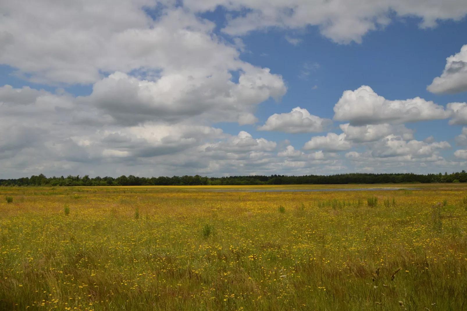 Landhuis de Linde-Areas summer 20km
