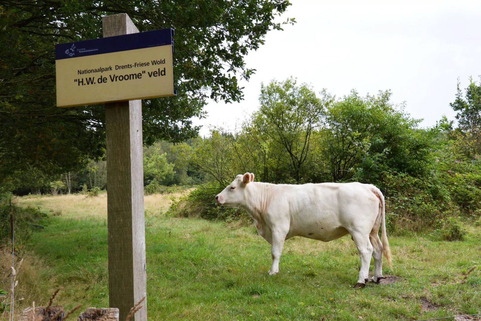Landhuis de Linde-Areas summer 20km