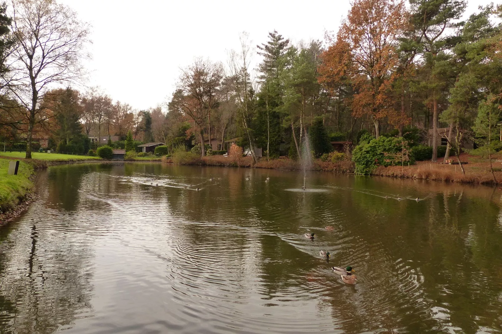 Parc de Kievit 9-Areas summer 1km
