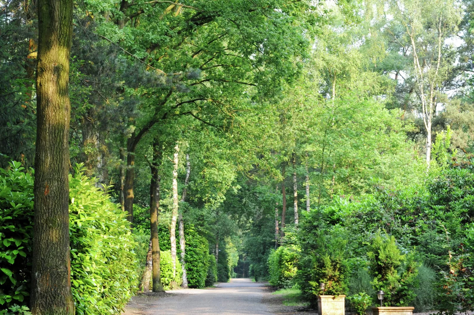 Parc de Kievit 9-Areas summer 1km