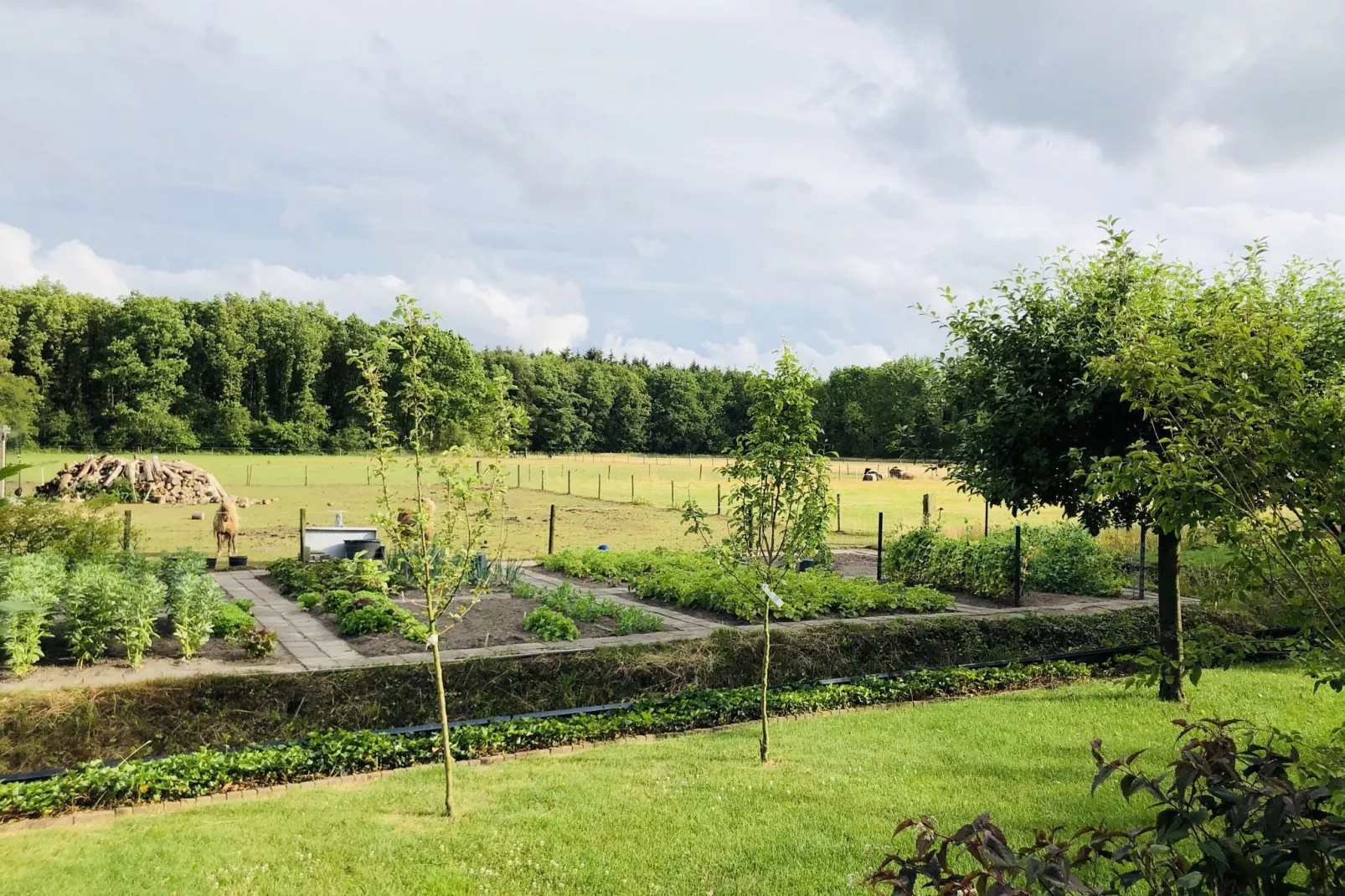 Buitenhuis De Stelling-View summer