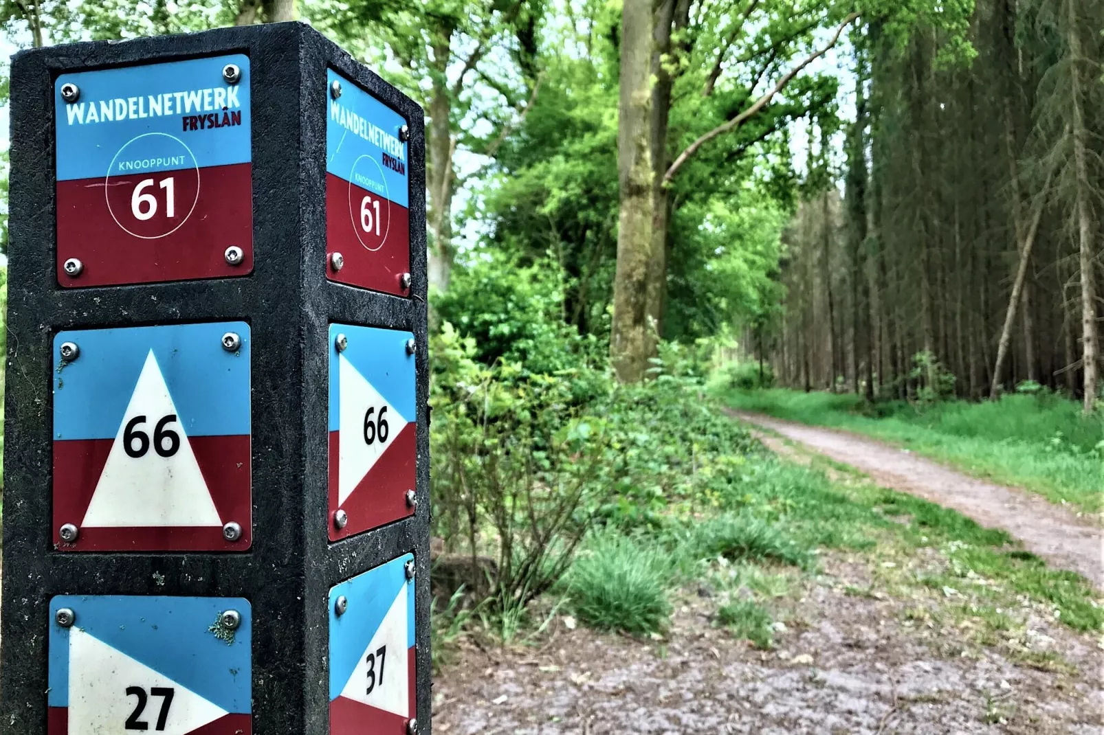 Buitenhuis De Stelling-Areas summer 5km