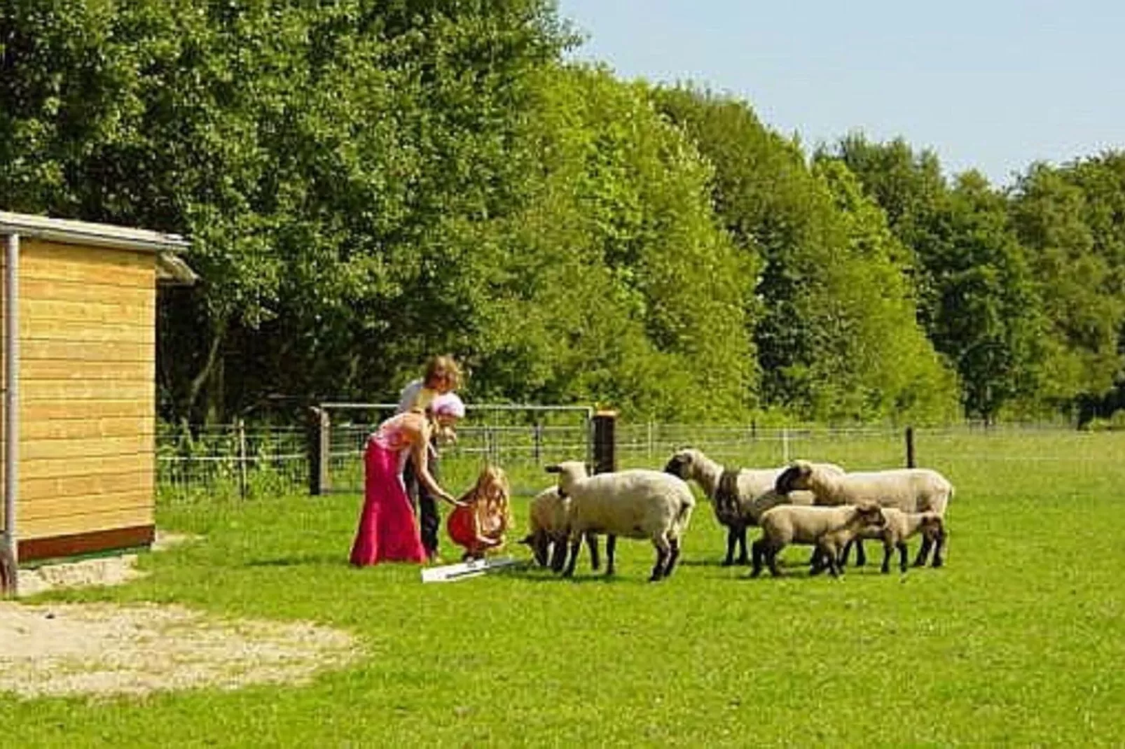 Buitenhuis De Stelling-Areas summer 5km
