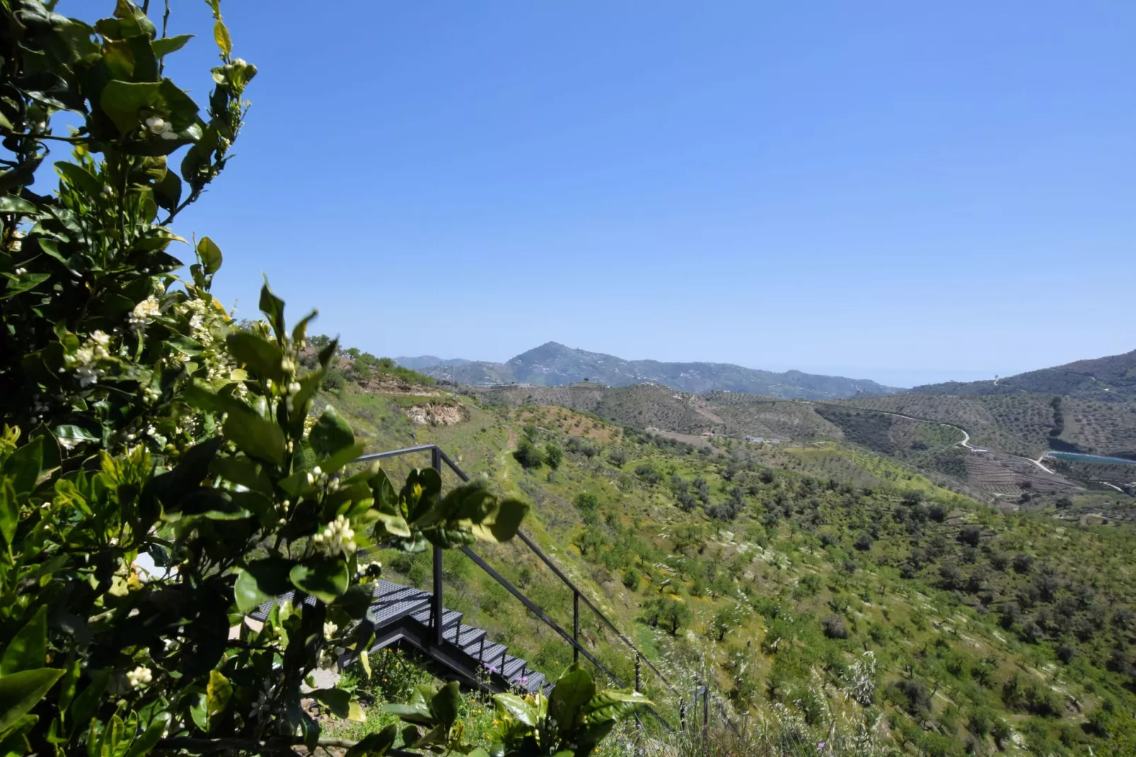 Villa Bandoleros-Gardens summer