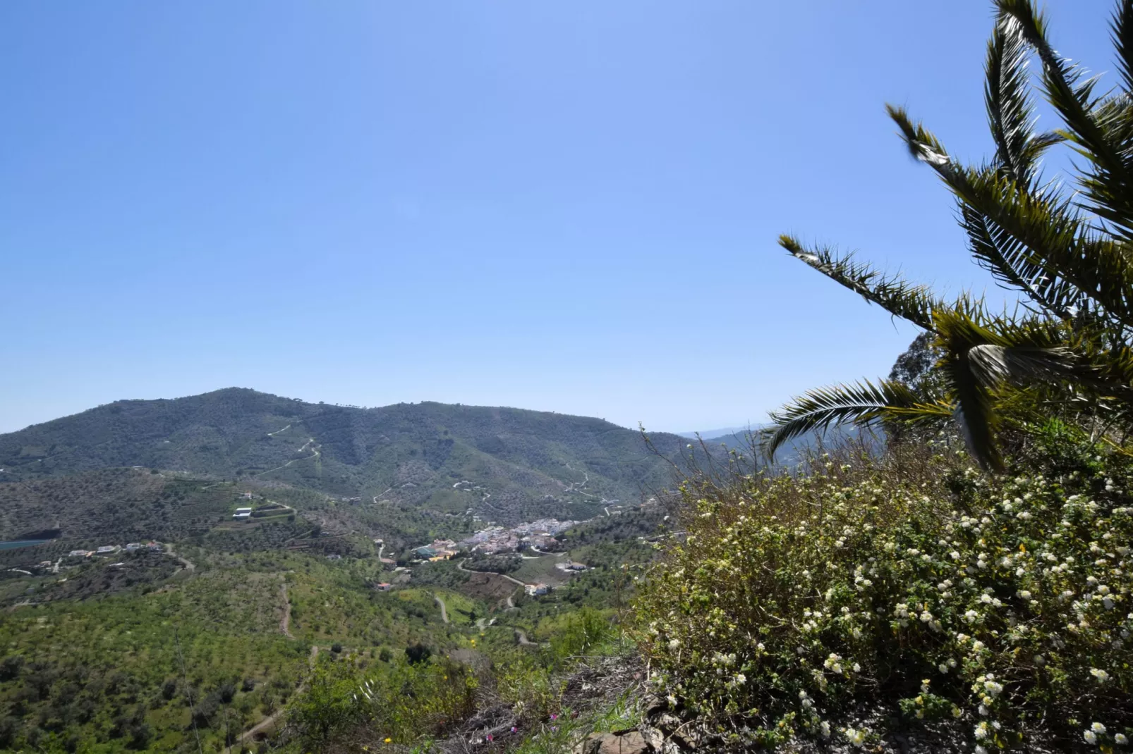 Villa Bandoleros-View summer