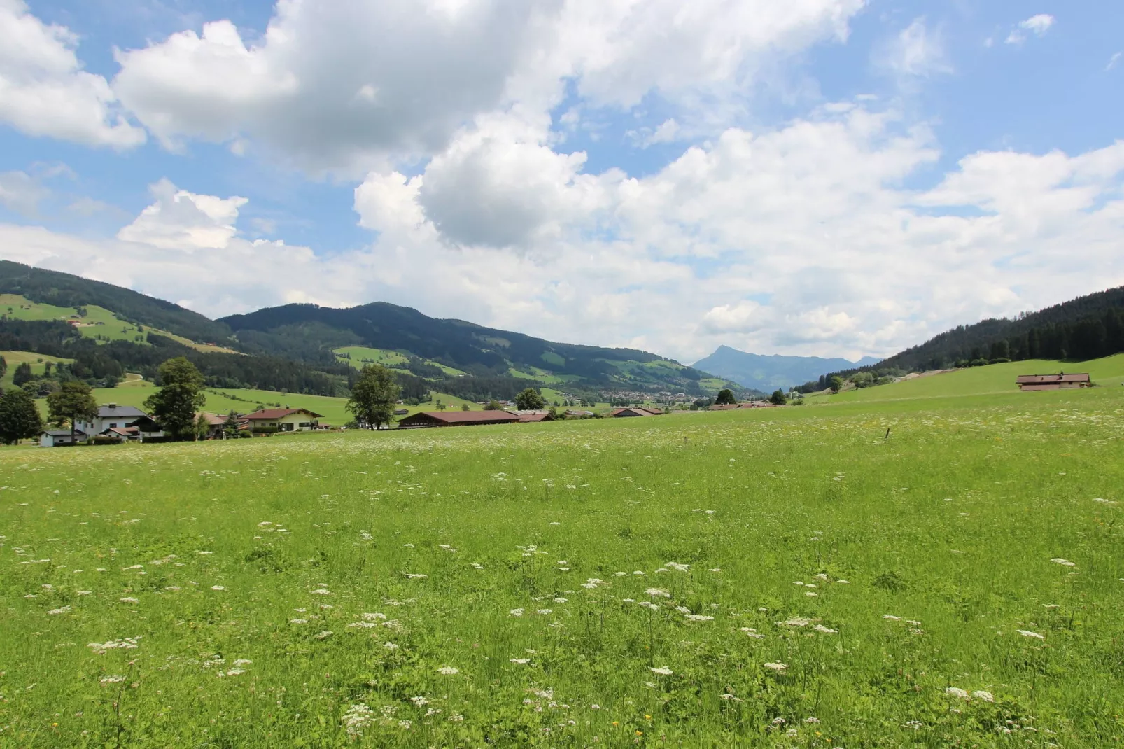 Haus Jäger III XL-Areas summer 1km