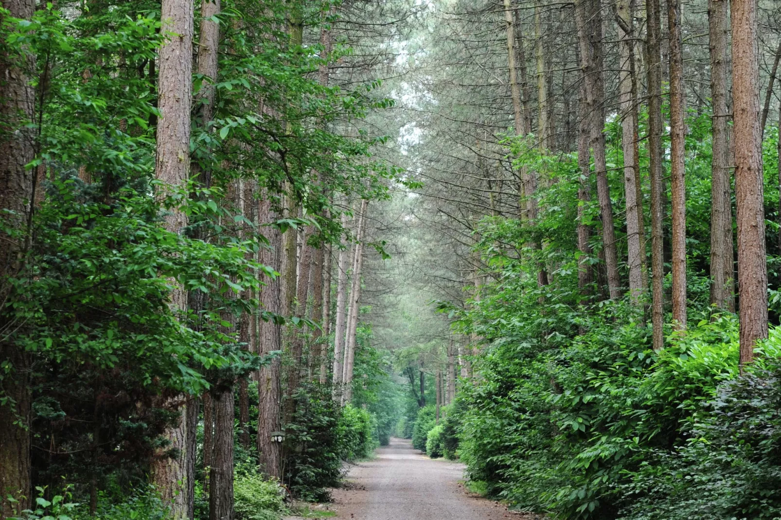 Parc de Kievit 13-Areas summer 1km
