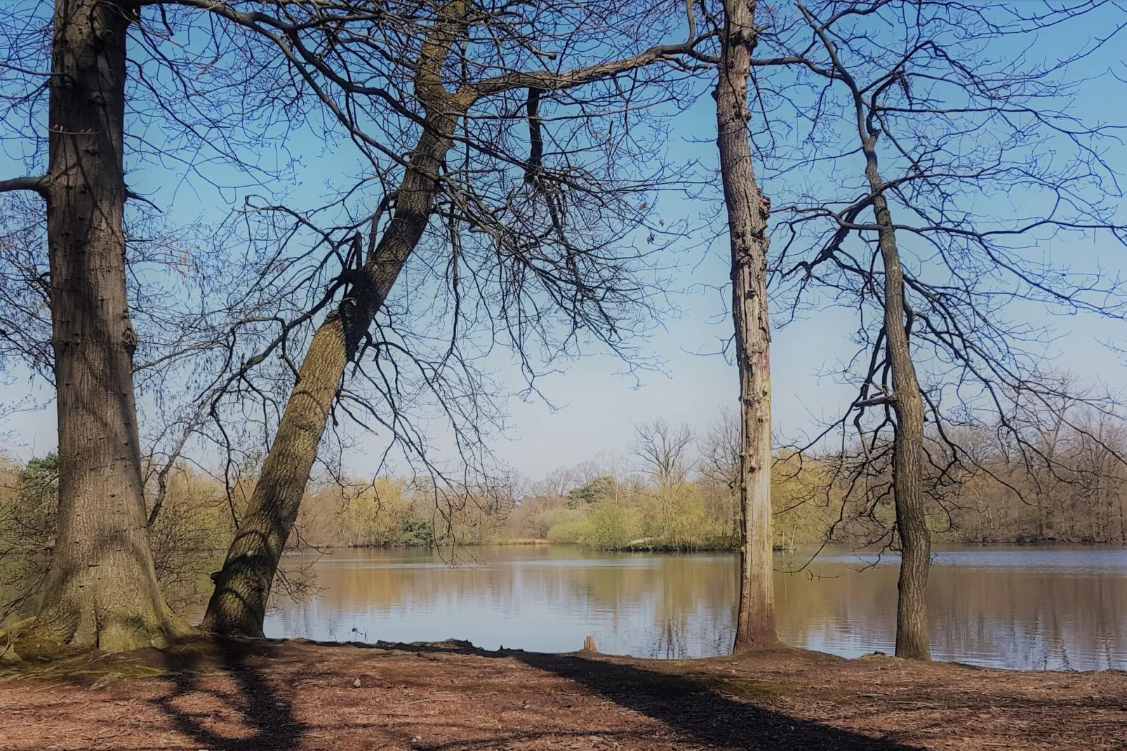 Parc de Kievit 13-Areas summer 5km