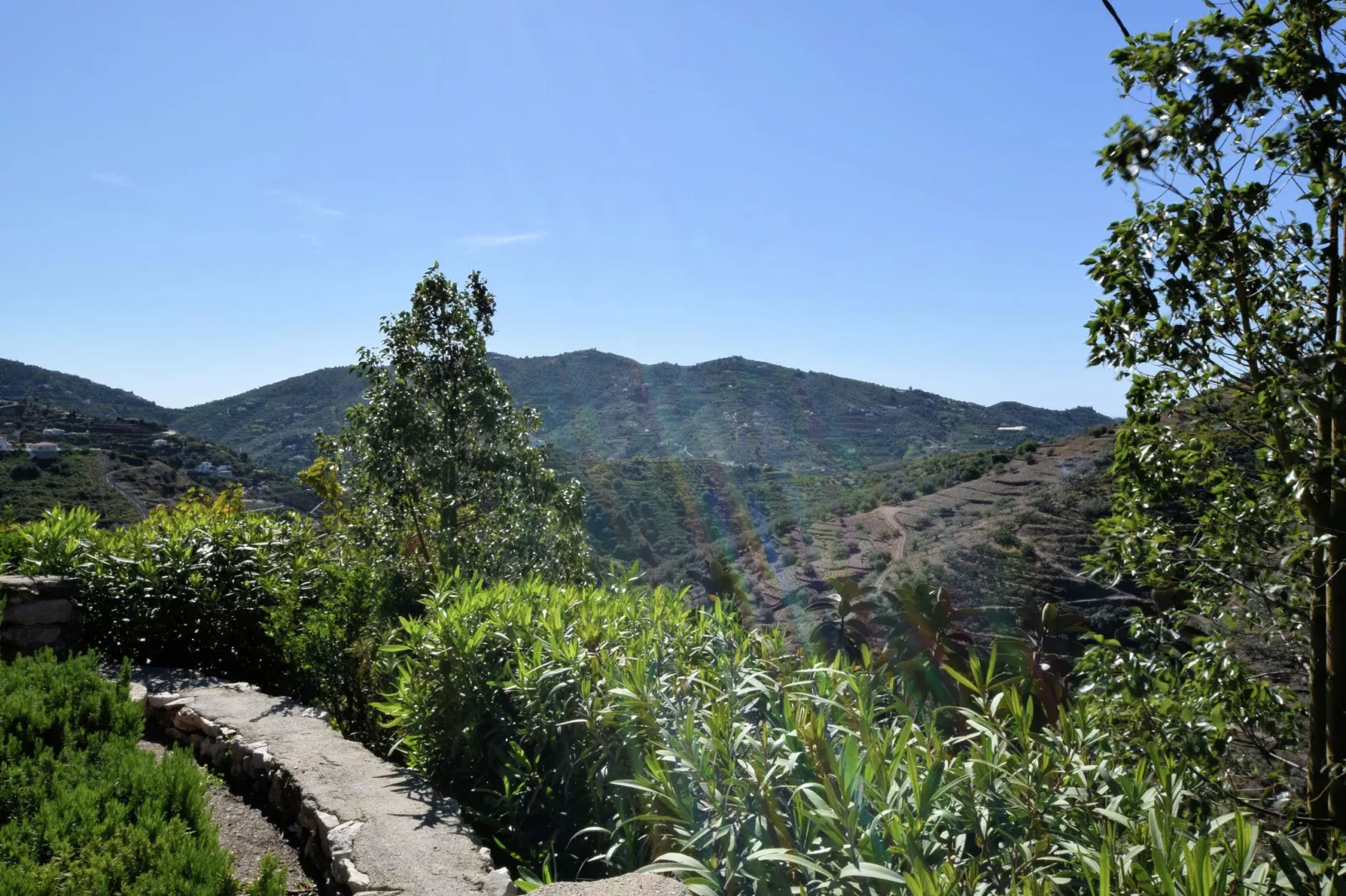 Villa Javier-View summer