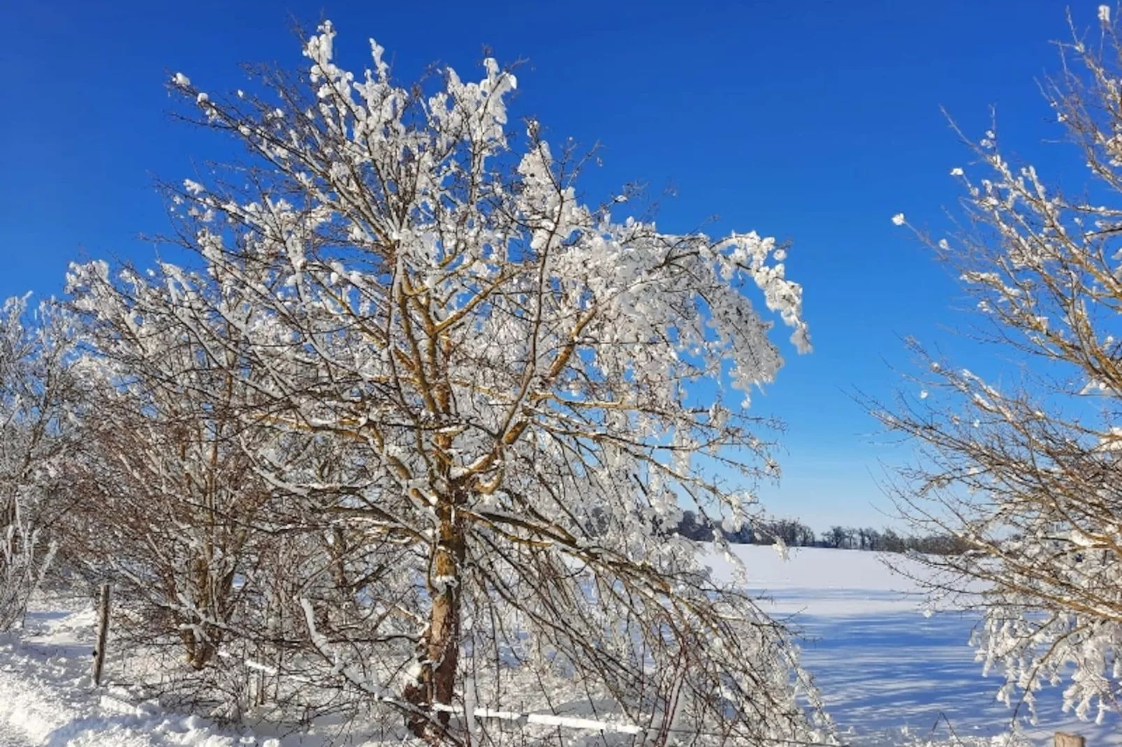 Harzliebe-Area winter 5km