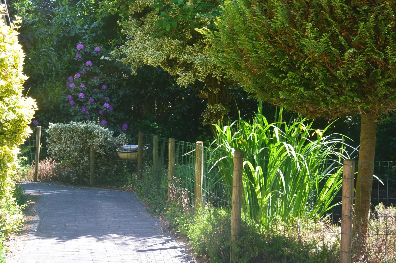 Poort naar de Veluwe-Gardens summer