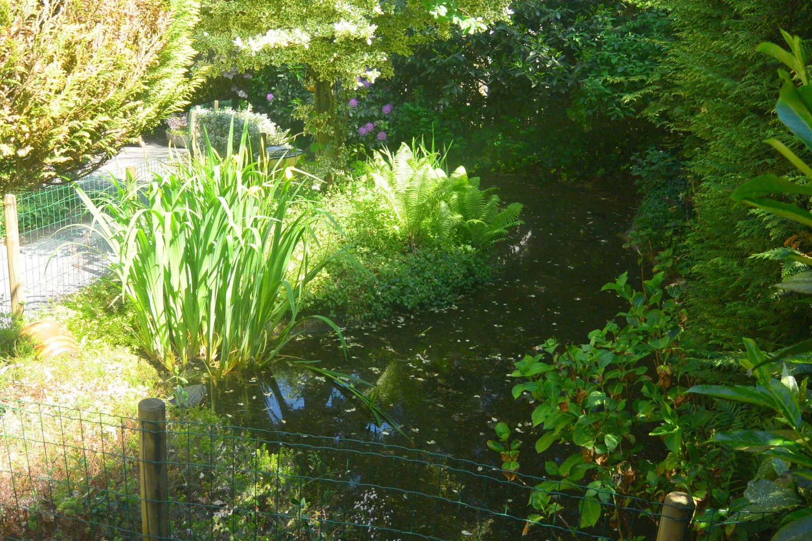 Poort naar de Veluwe-Gardens summer
