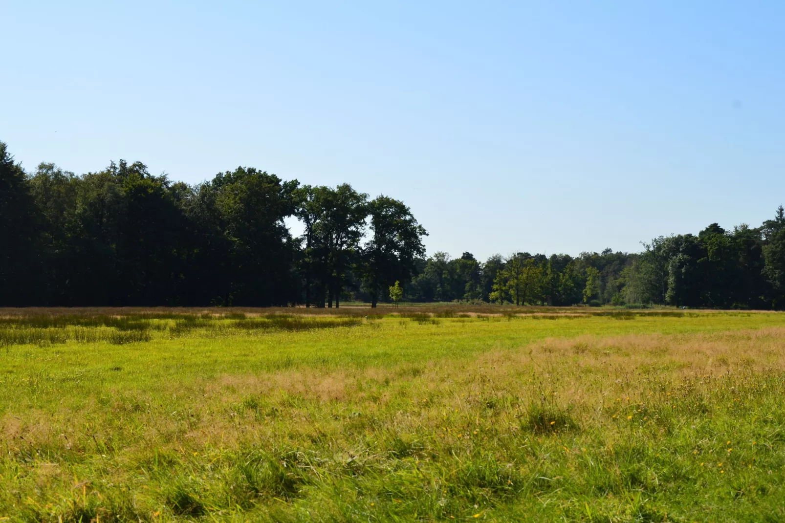 Poort naar de Veluwe-Areas summer 20km
