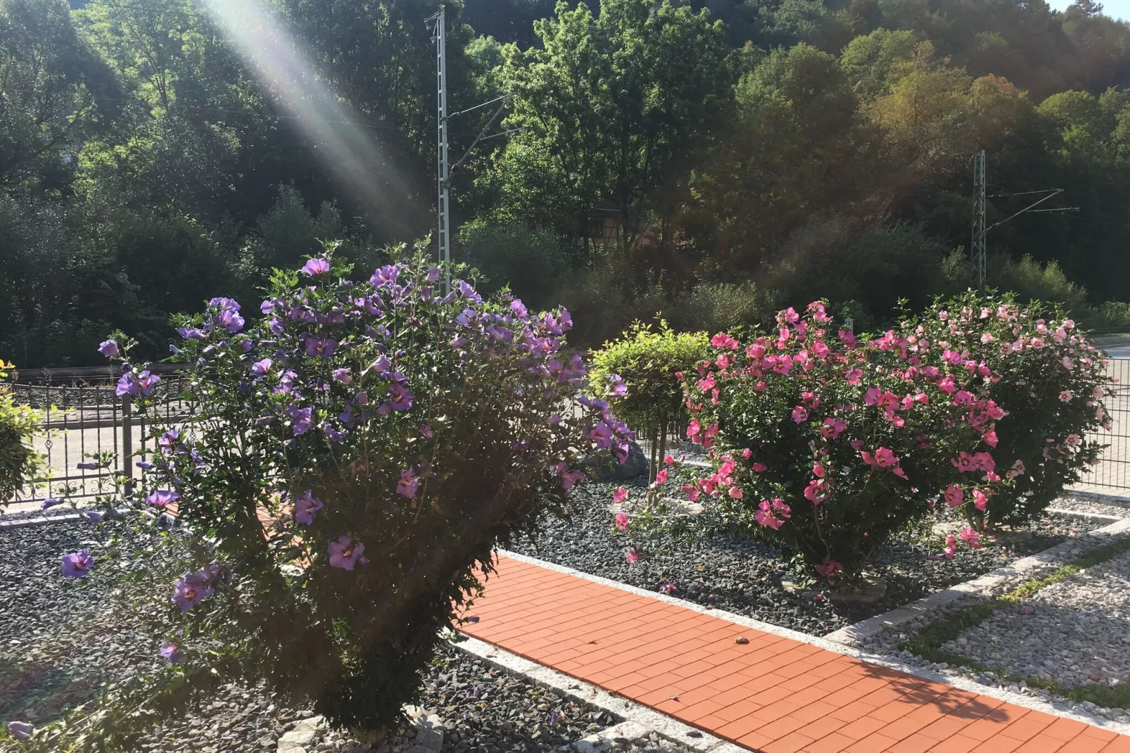 Mompels-Aussicht Sommer