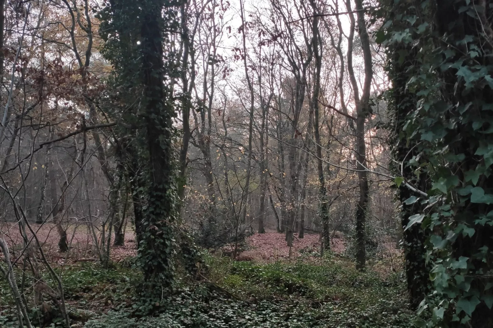 Stille Wille Nr B13-Gebiet Winter 5 km