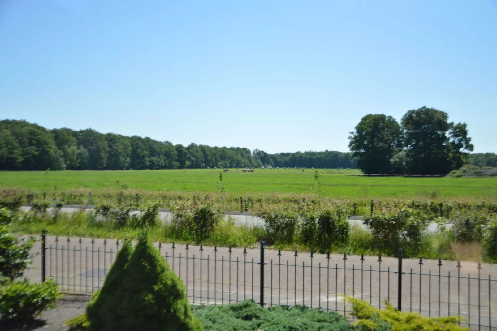 Little White Cottage-Aussicht Sommer