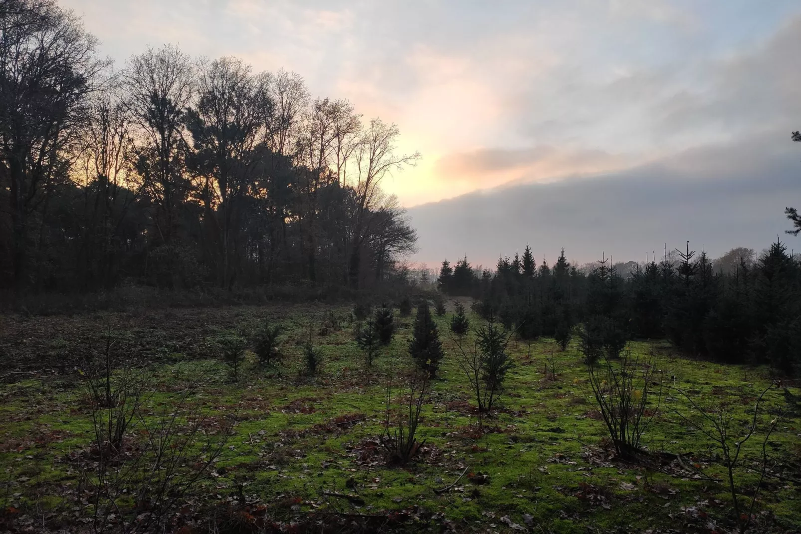 Stille Wille Nr B13-Gebiet Winter 5 km