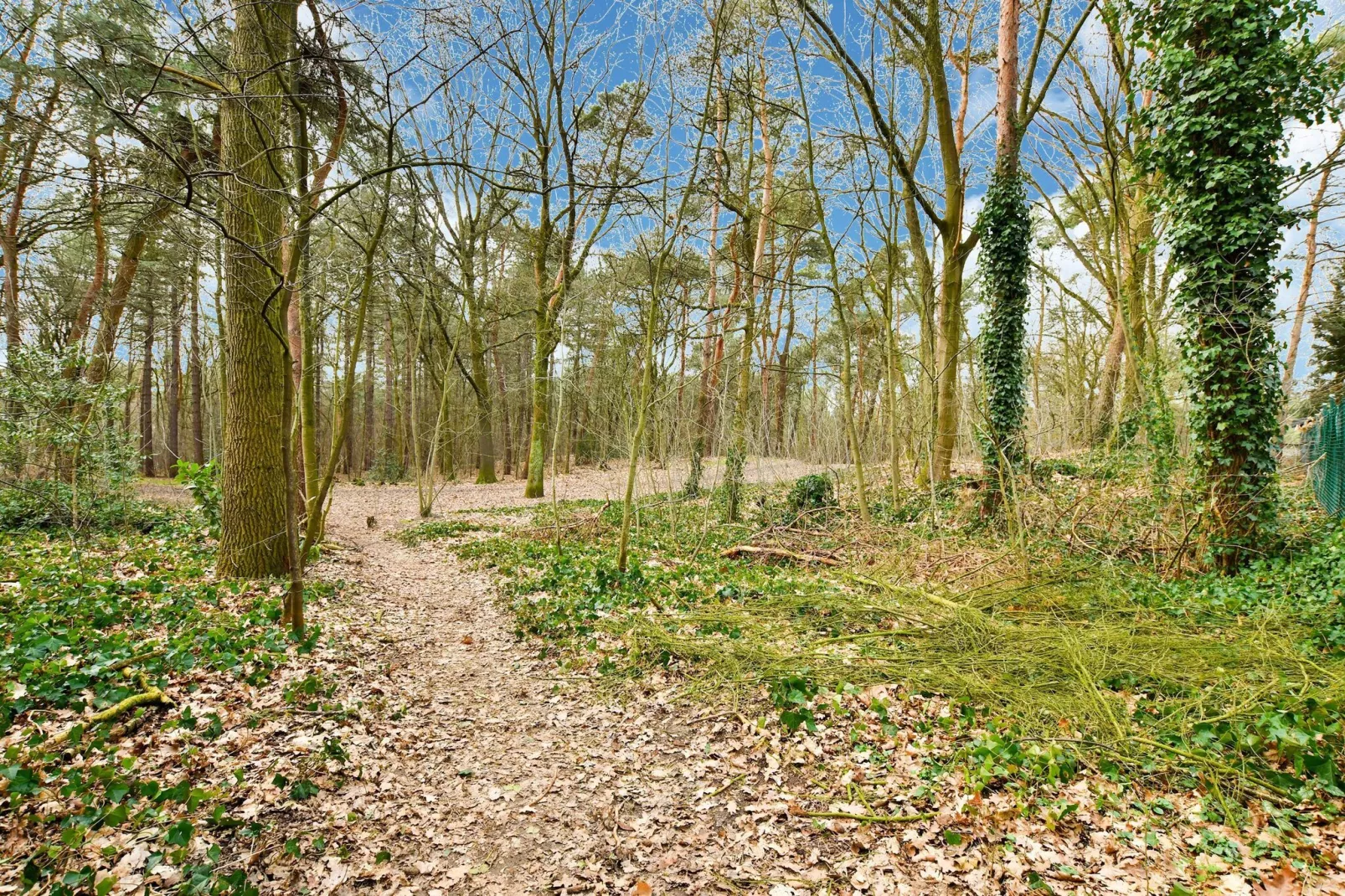 Stille Wille Nr B13-Gebiete Sommer 1 km