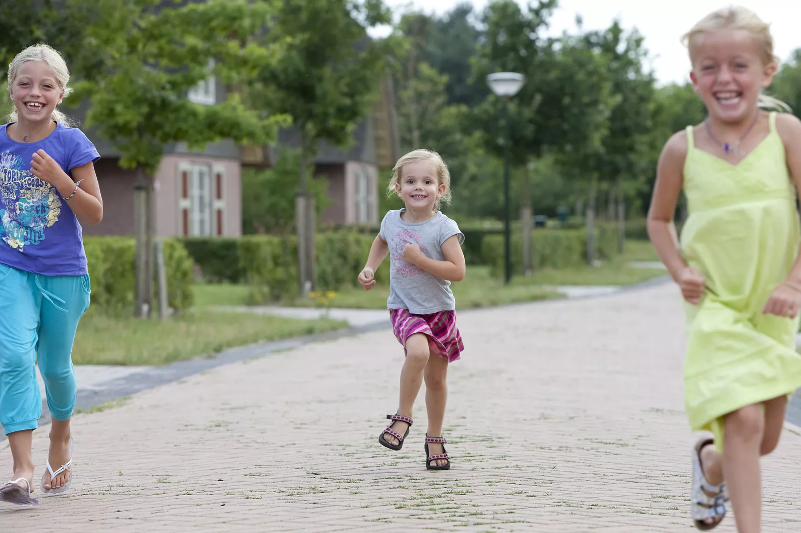 Buitenplaats De Hildenberg 1-Areas summer 1km