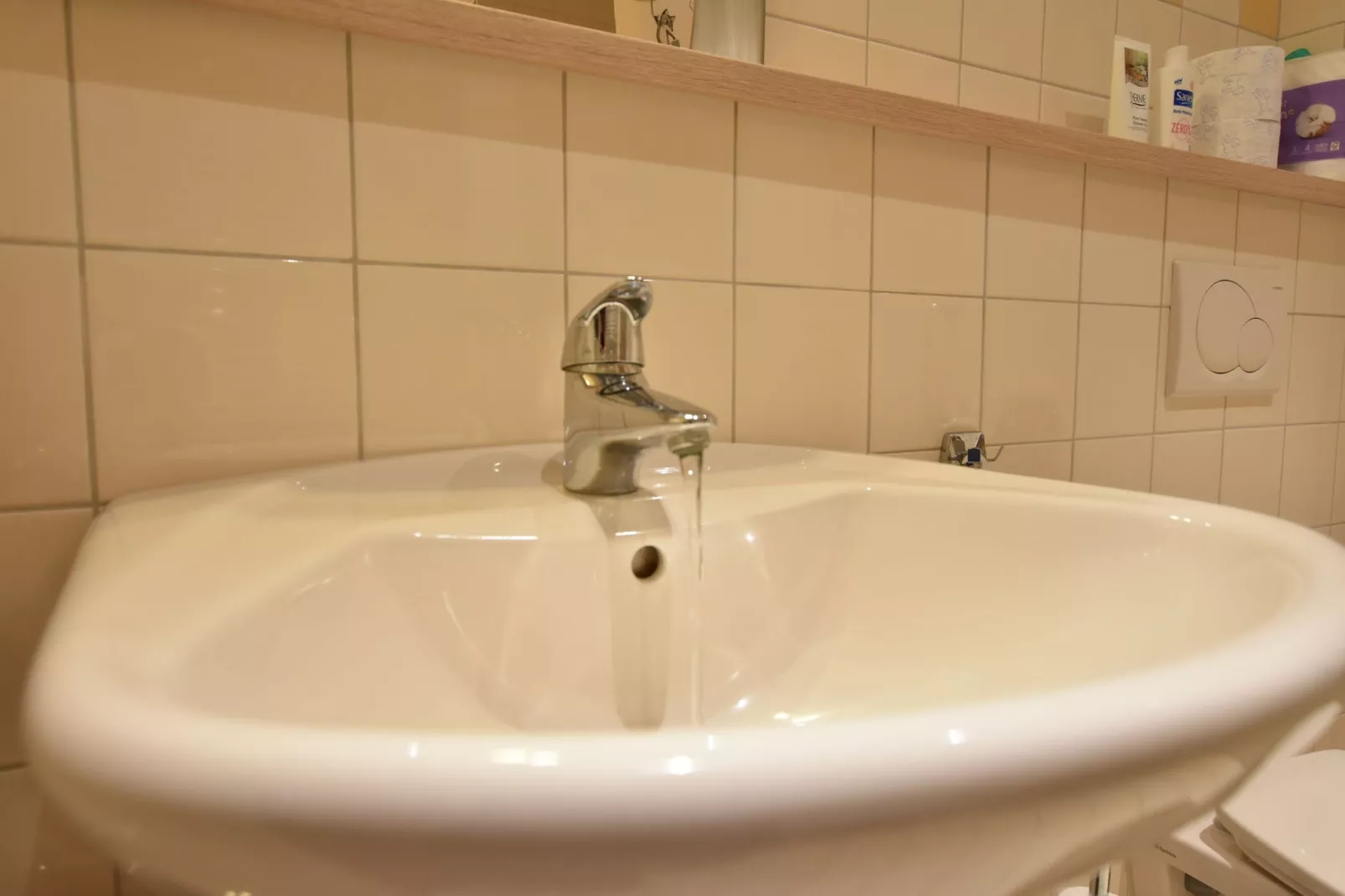 Chalet Vrijzicht-Bathroom