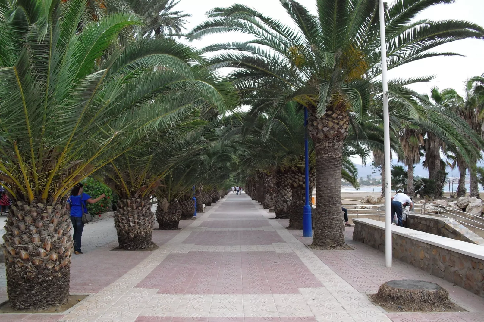 Villa Costa de la Vida-Areas summer 5km