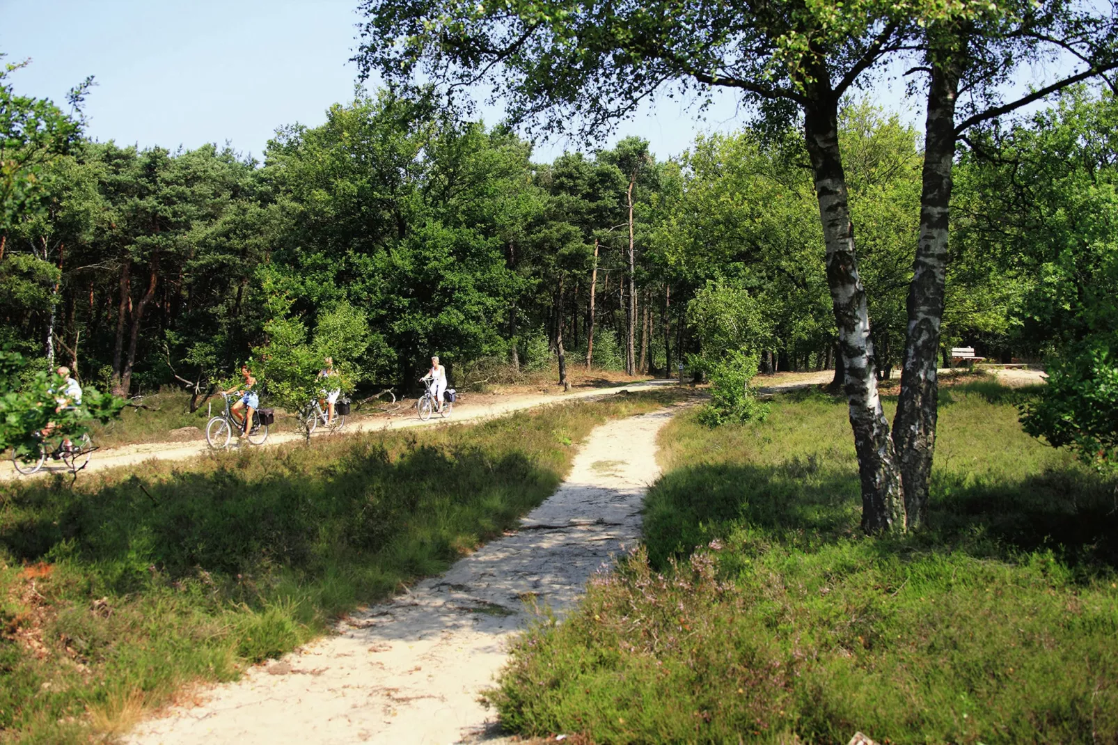 Chalet Vrijzicht-Areas summer 5km