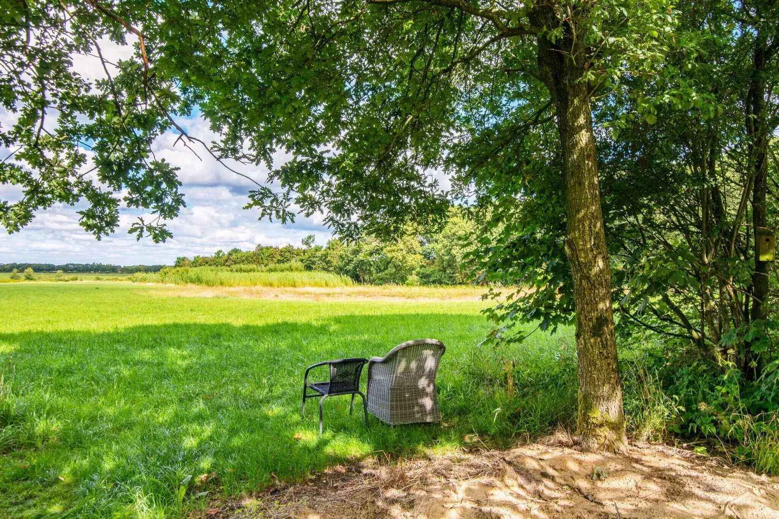 6 person holiday home in Varde-View