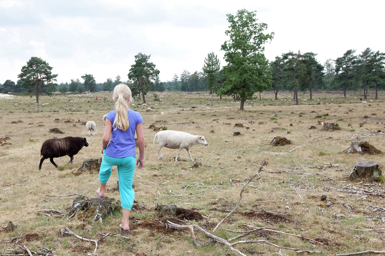Buitenplaats De Hildenberg 3-Areas summer 5km
