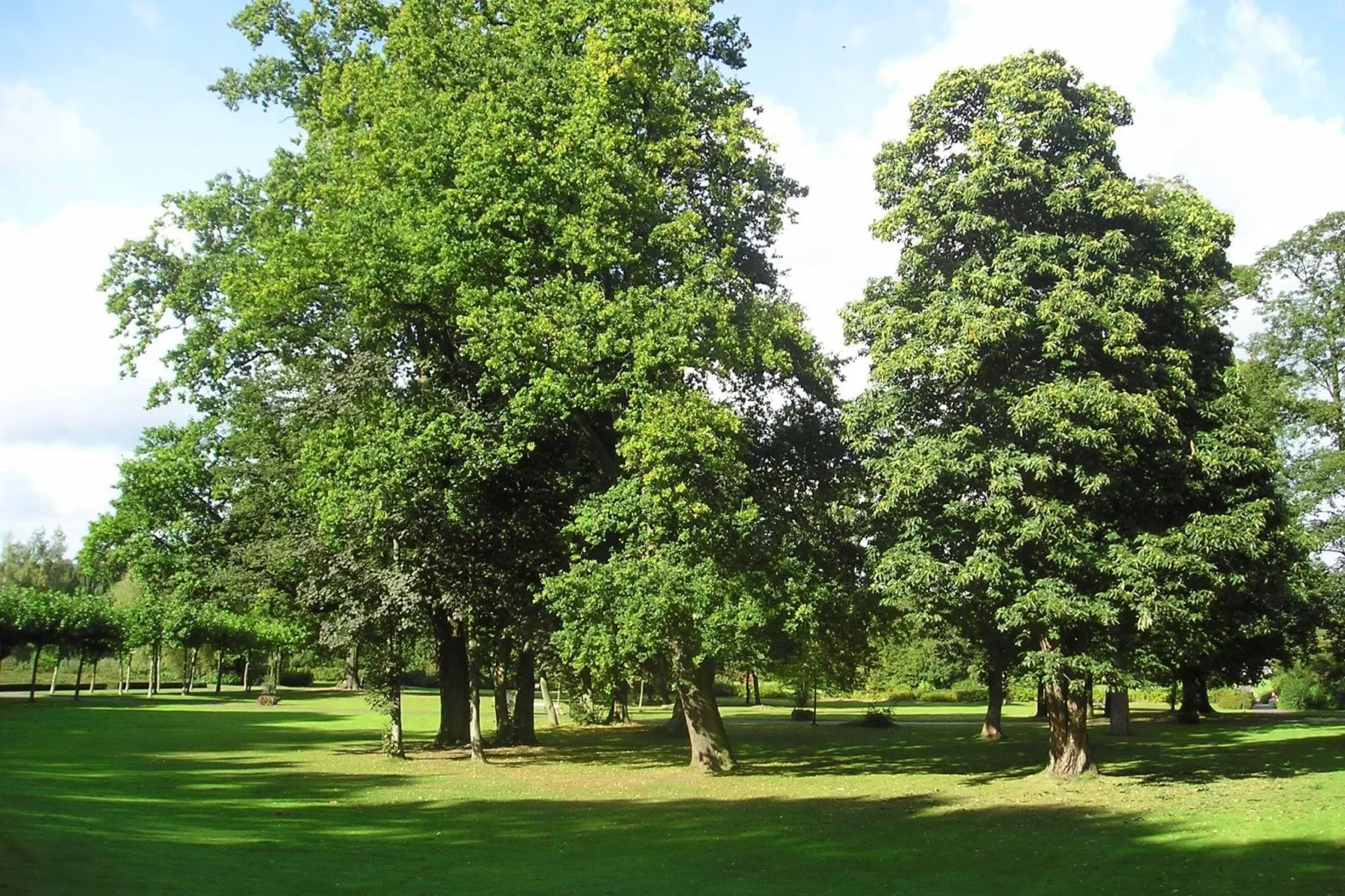 Ferienresort Bad Bentheim 16-Areas summer 20km