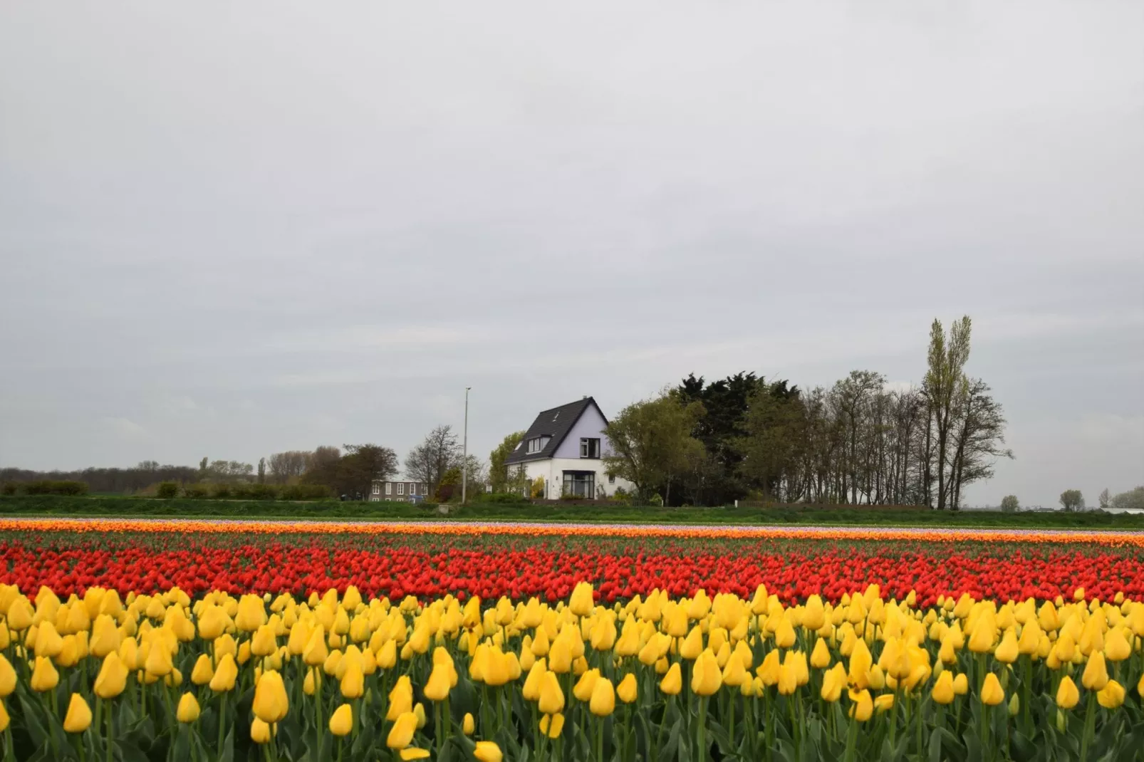 Morgenrood-Areas summer 5km