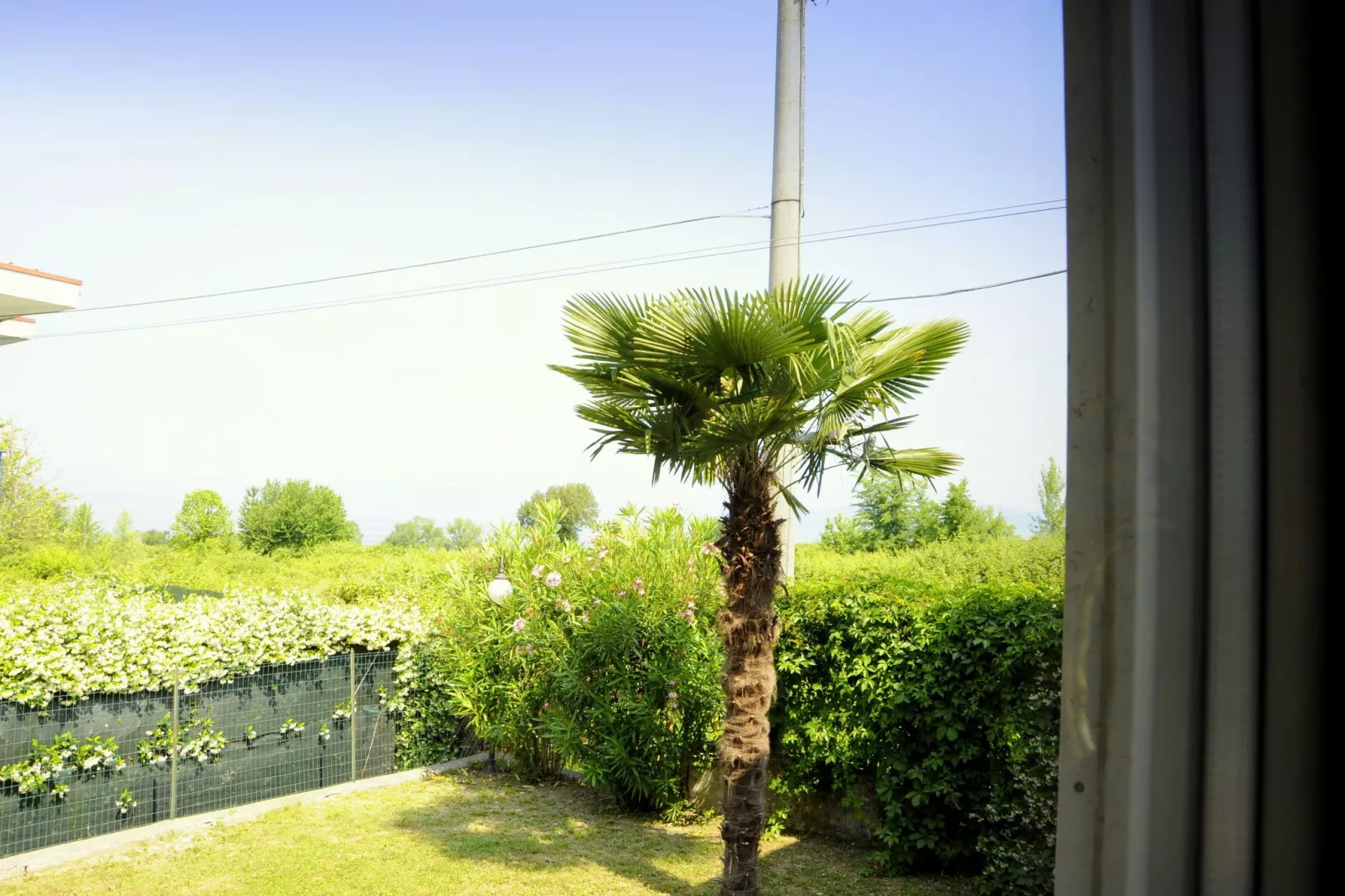 Porto Quarantaquattro-View summer