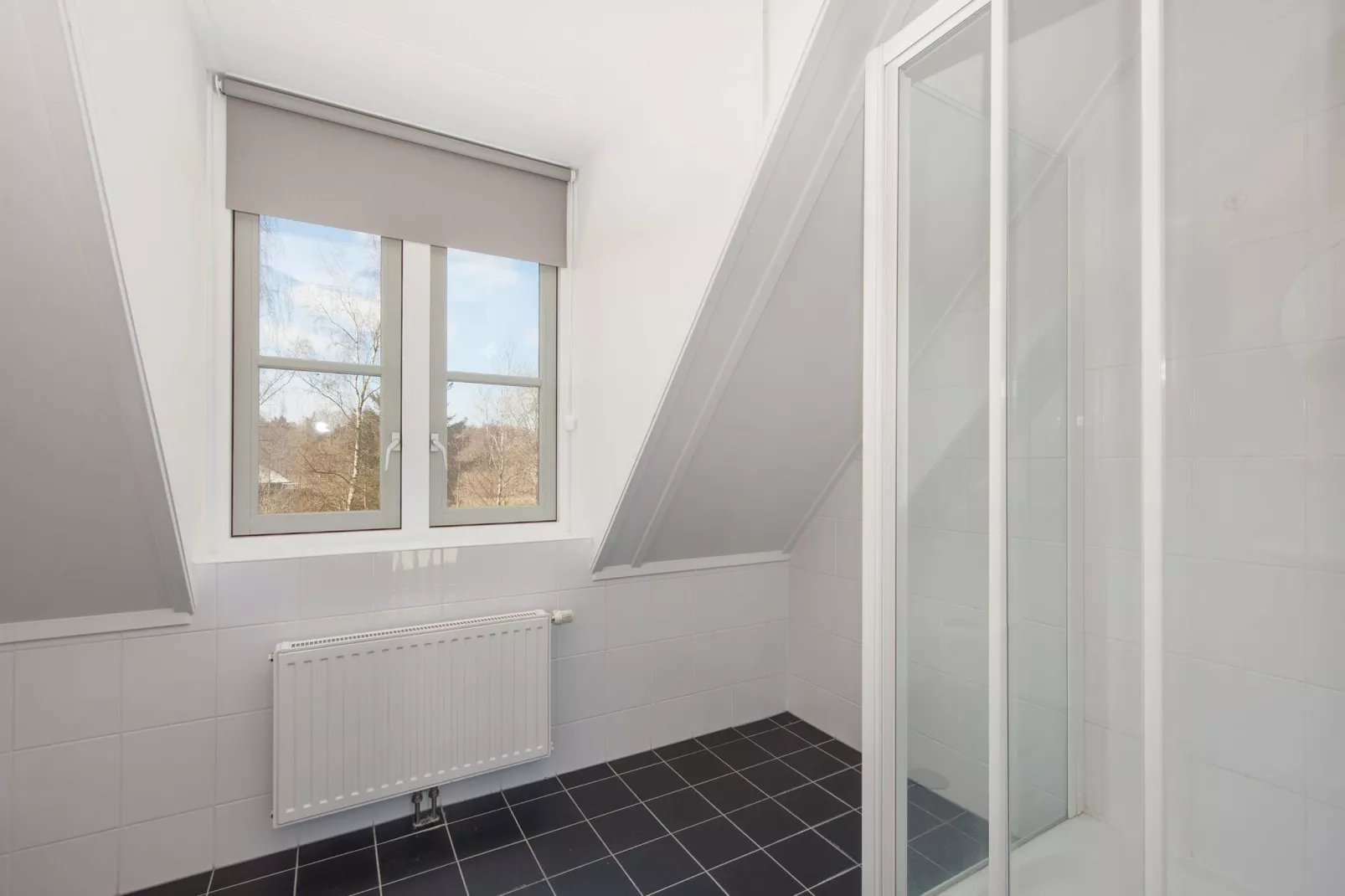 Buitenplaats De Hildenberg 7-Bathroom