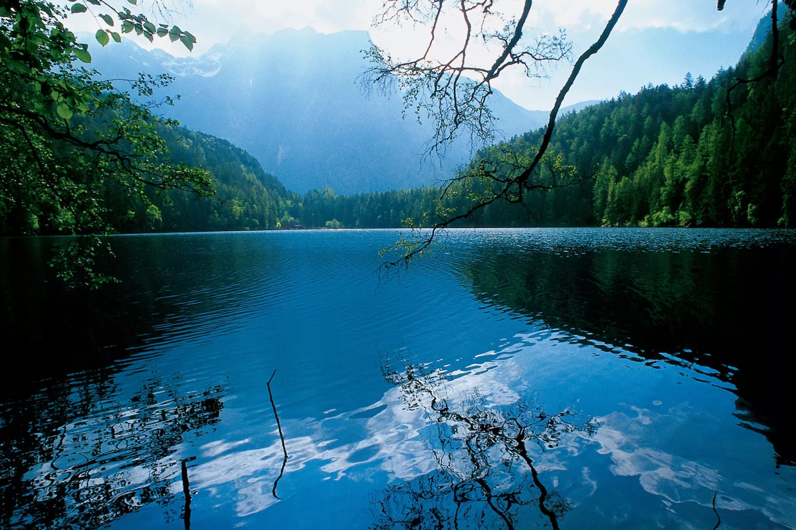 Koster-Areas summer 5km