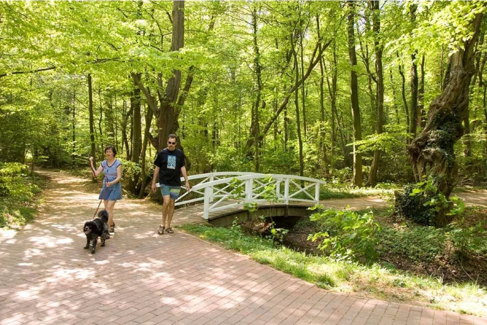 Ferienresort Bad Bentheim 9-Areas summer 20km