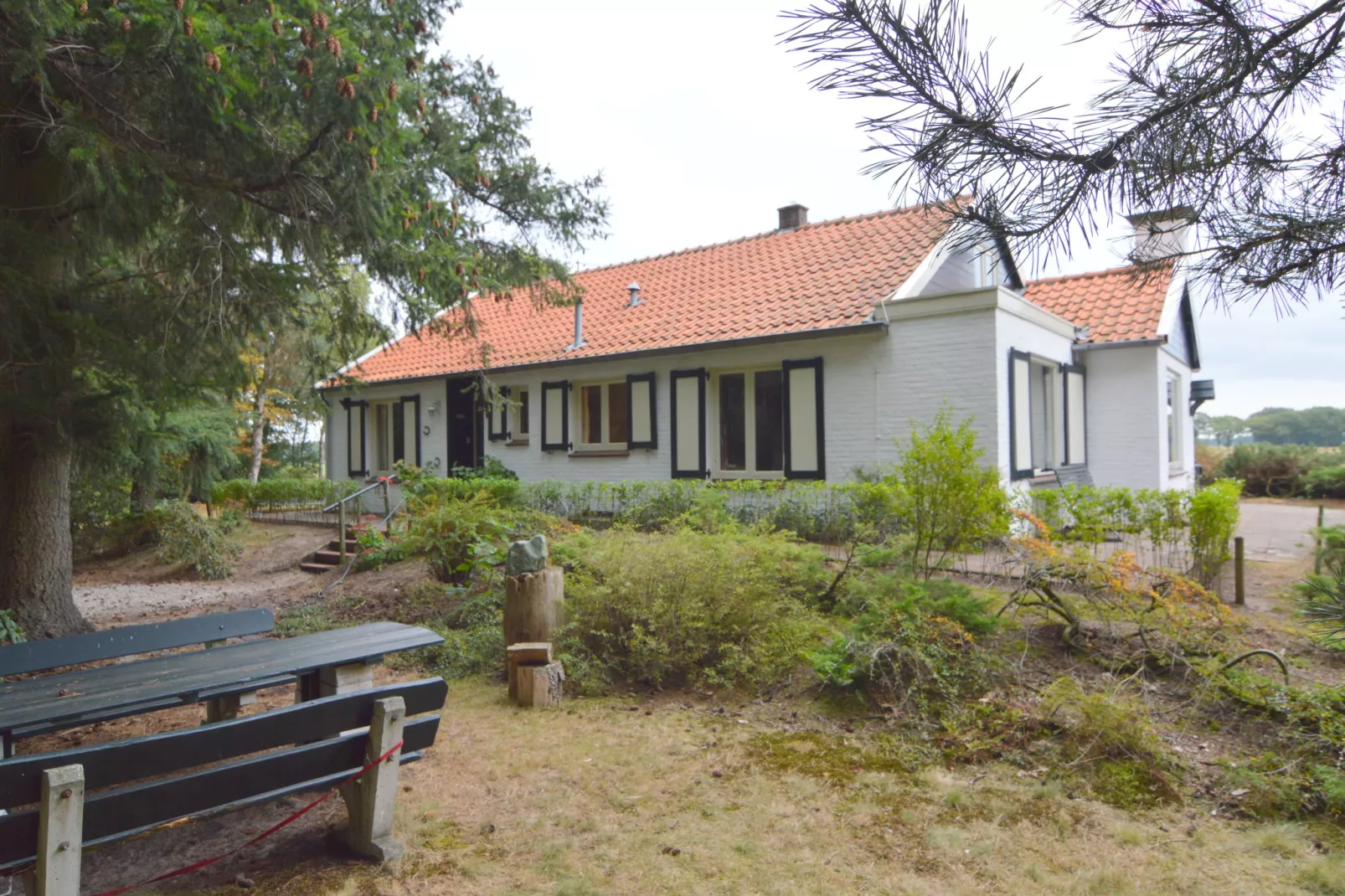 Huis in het bos-Exterior summer